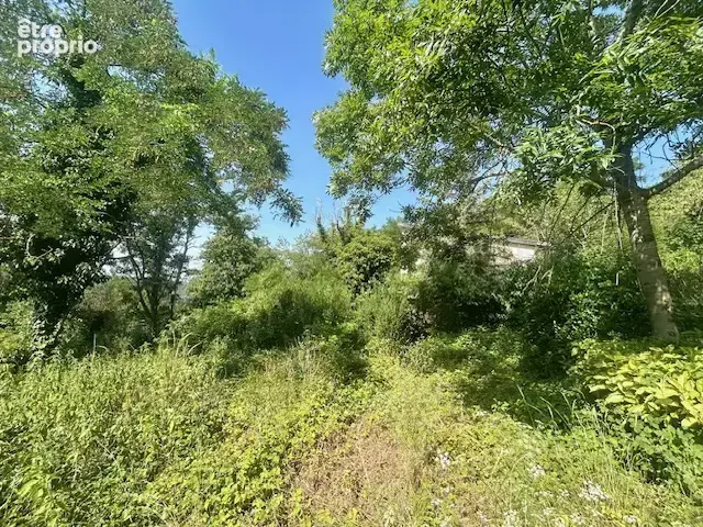 Montlhéry - terrain a bâtir de 5 000 m2 - potentiel de 2 lots - photo 10