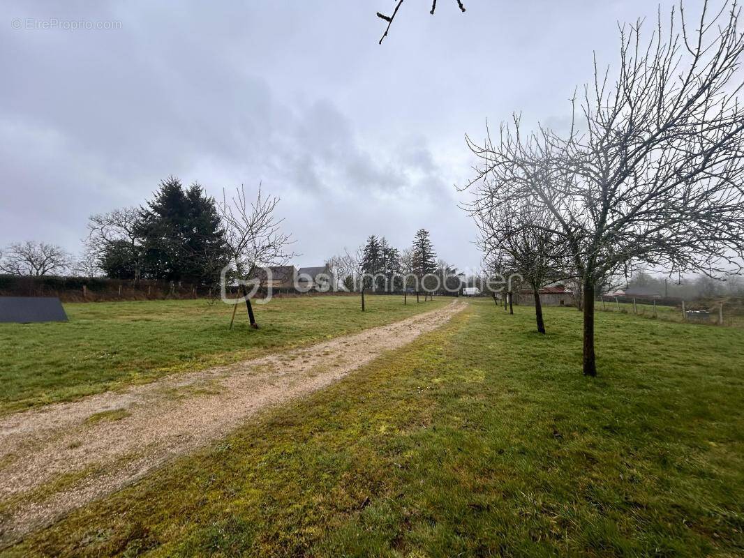 Terrain à SAINT-LEGER-VAUBAN