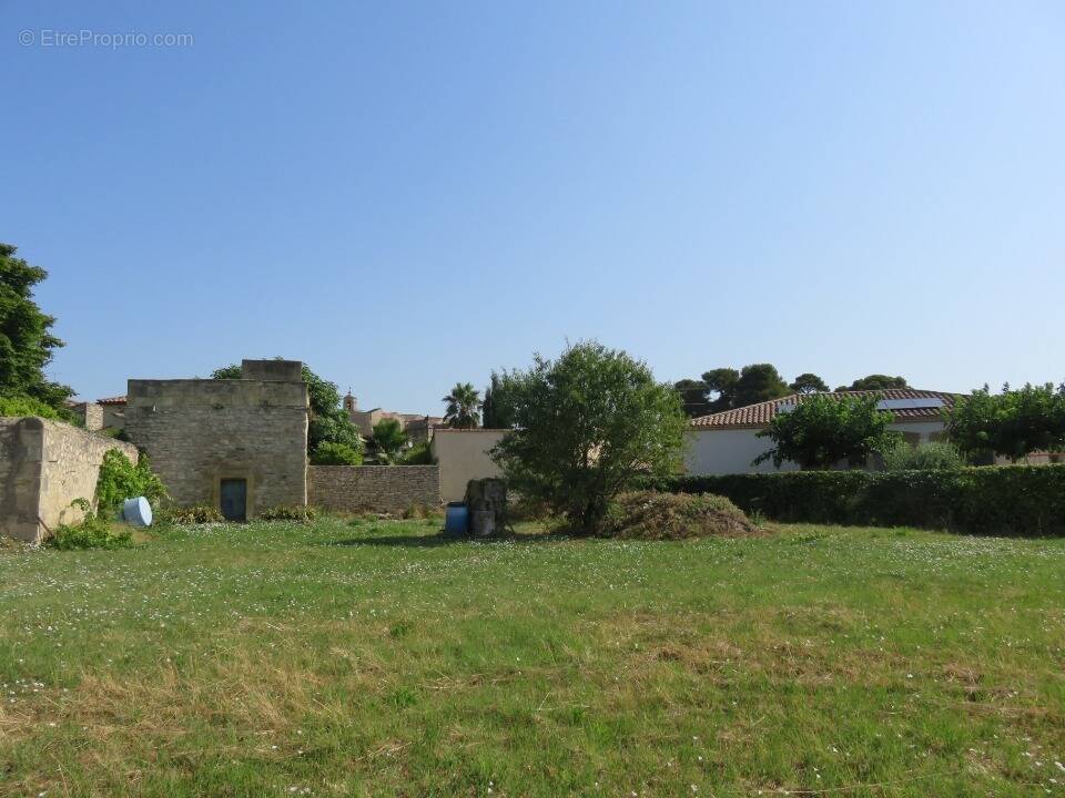 Terrain à CALVISSON