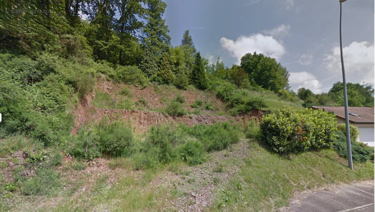 Terrain à MOYENMOUTIER