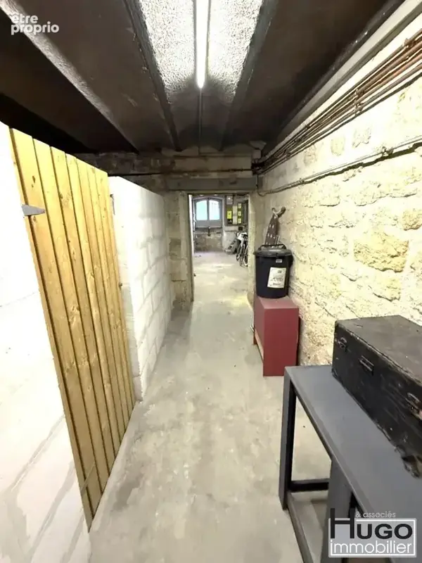 Bordeaux- jardin public- rue de la course- bureau duplex 205m² + patio + 3 caves ! - photo 13