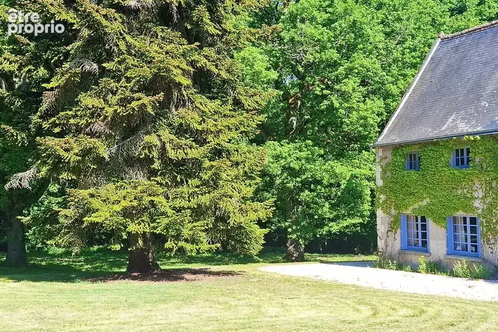 Veigné - 37250  - 430 m2 sur 3 maisons - 18 pièces - 11 chambres - 1 dépendance - Parc 5 ha - photo 13