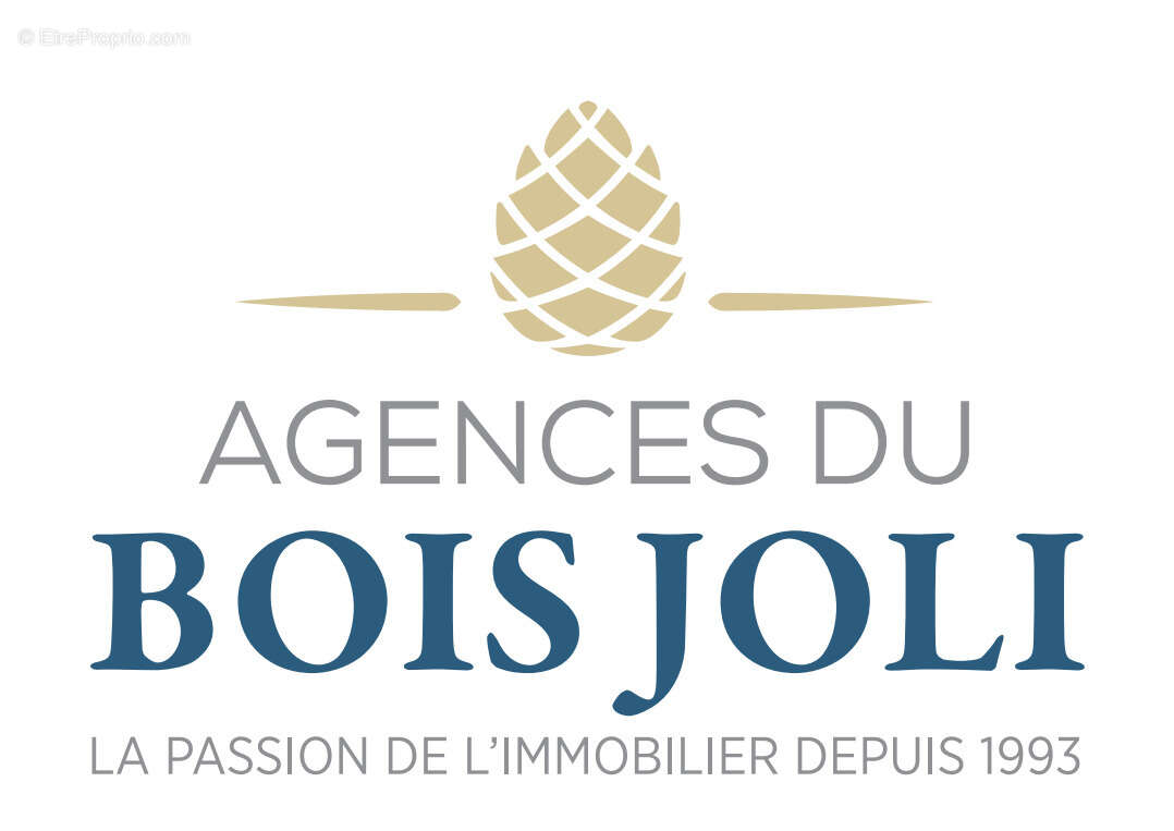 Parking à ISSY-LES-MOULINEAUX