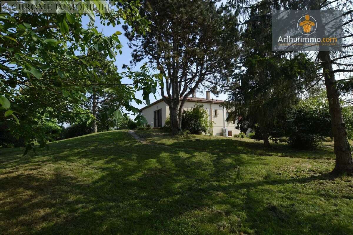 Maison à MONSEGUR
