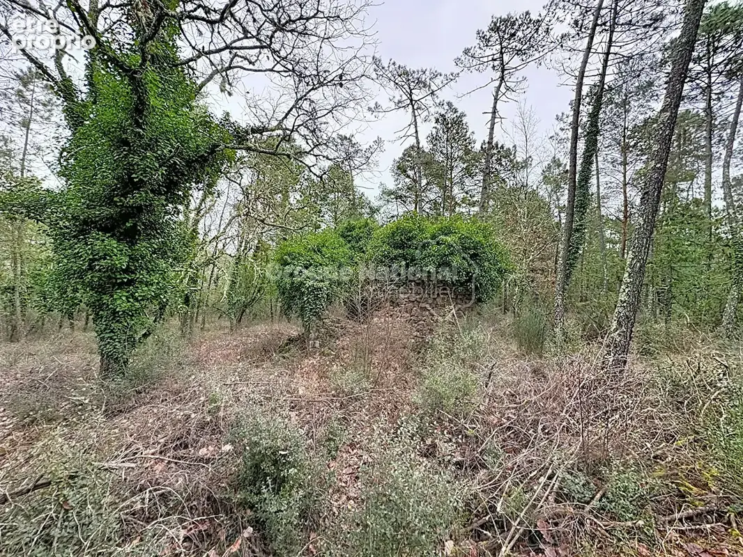 Terrain callian - photo 2