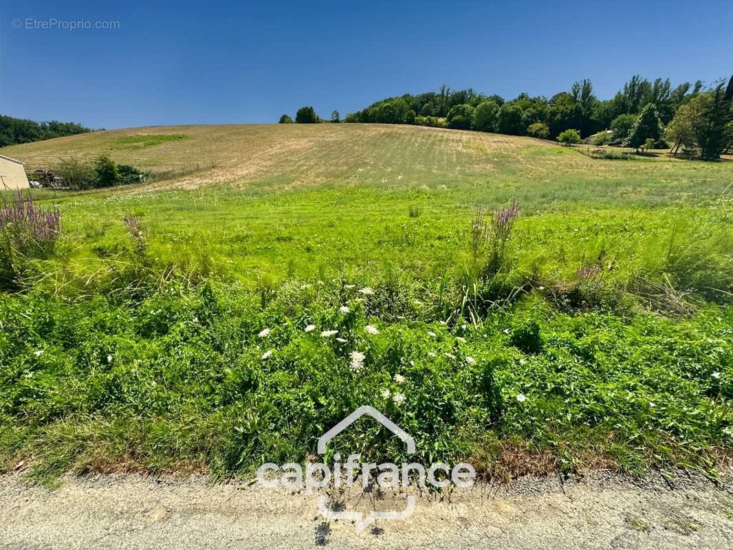 Terrain à vendre  saint caprais de lerm (47) - photo 6