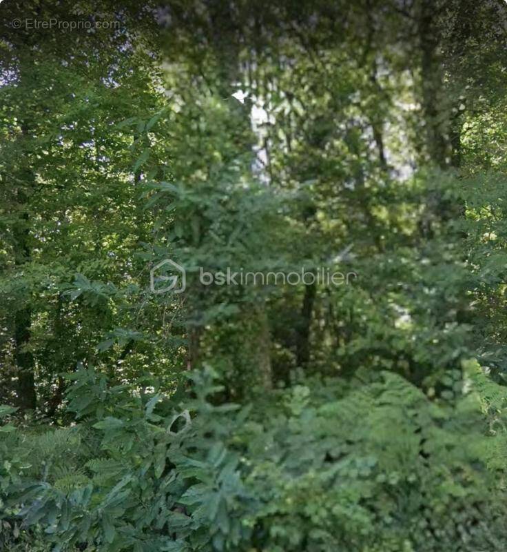 Terrain à COULOUNIEIX-CHAMIERS