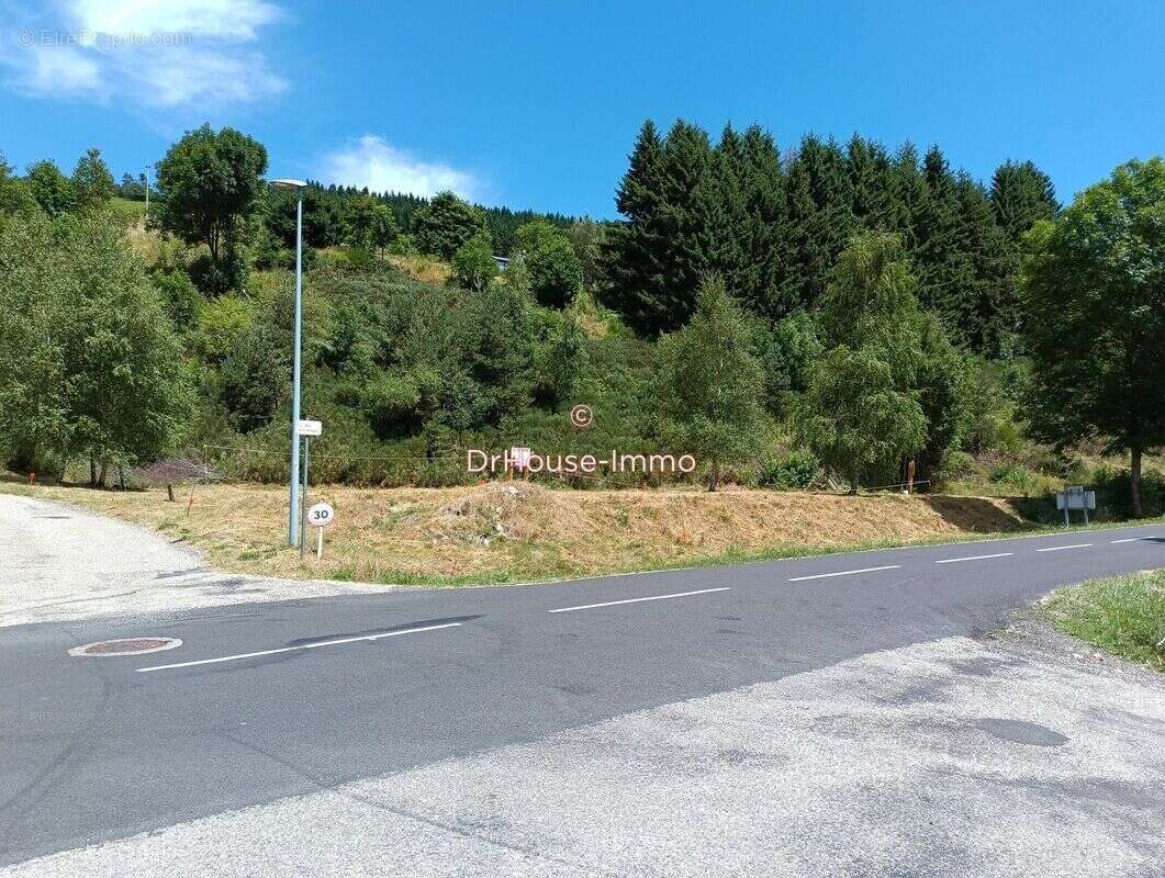 Terrain 2577 m² à Saint-Cirgues-En-Montagne  - photo 2