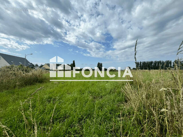 Terrain à LE VIVIER-SUR-MER