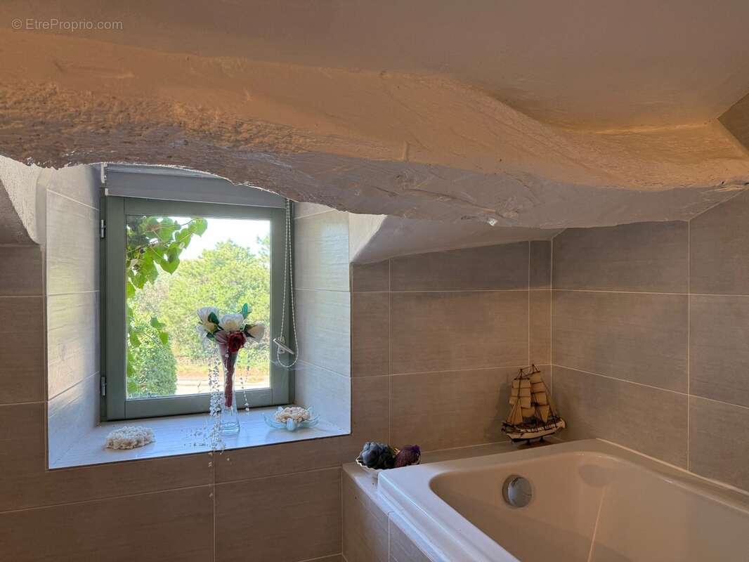 Maison de caractère en pierre avec piscine et sauna à la caunette - photo 18