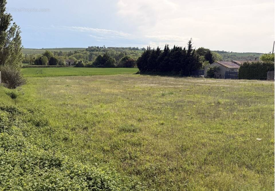 Terrain à AVIGNONET-LAURAGAIS