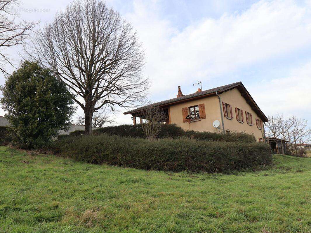 Maison Sauviat 5 pièce(s) 90 m2 environs + garage  et 7000m2 de terrain dont 3000 constructibles - photo 3