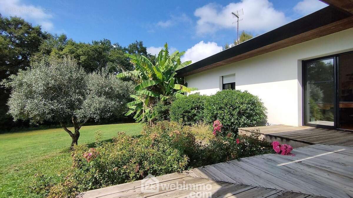 Maison à SAINT-CRICQ-CHALOSSE