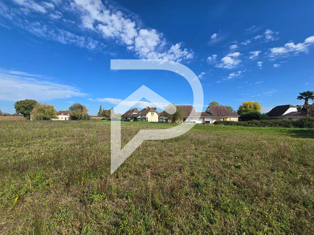 Terrain à HAGETAUBIN