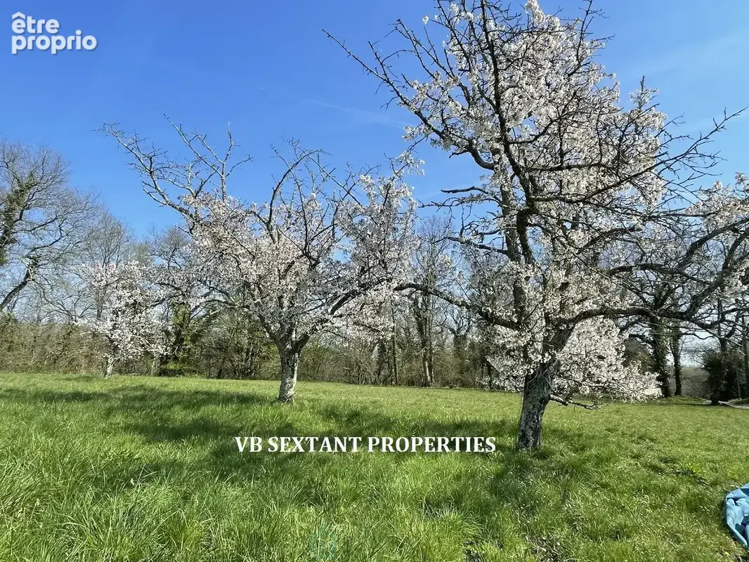 Entre- Deux- Mers, À 15mn de Saint-Émilion et 50 mn de Bordeaux,  coup de coeur pour ce  domaine de 13 hectares, rare et emprein - photo 18