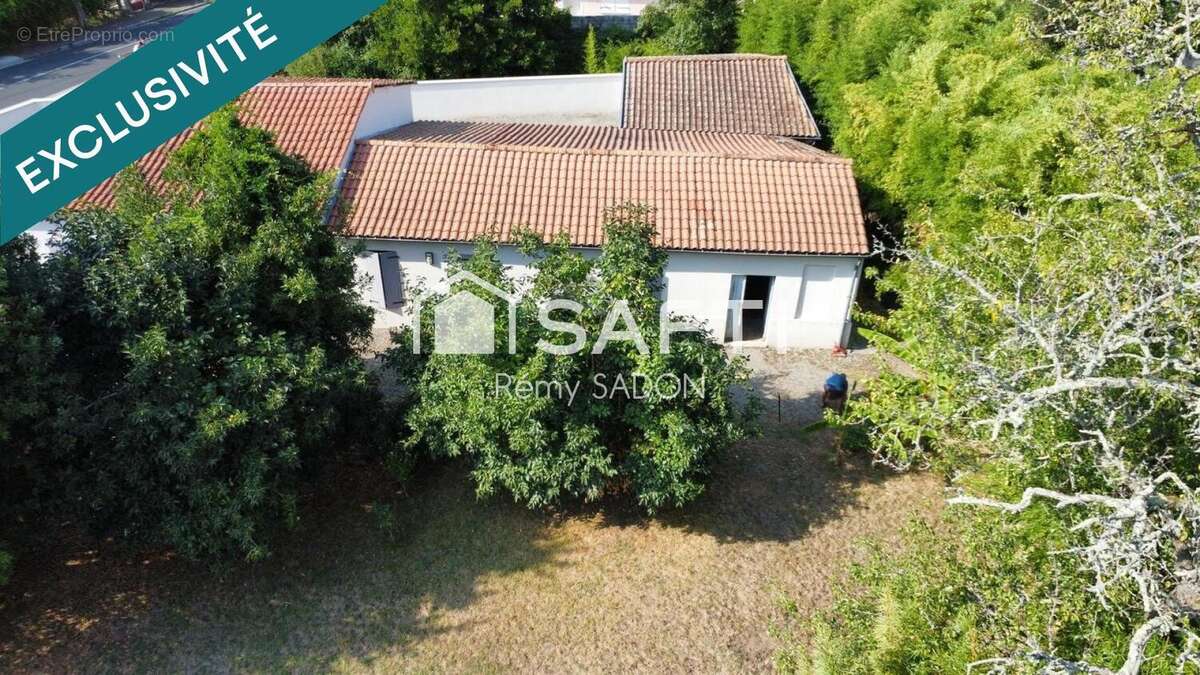 Photo 4 - Maison à CASTELNAU-DE-MEDOC