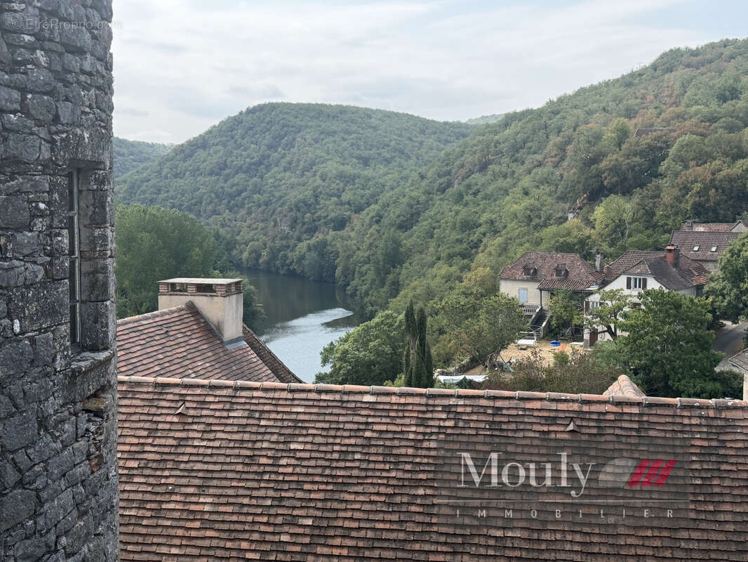 Chateau  avec vue exceptionnelle sur le lot - photo 41