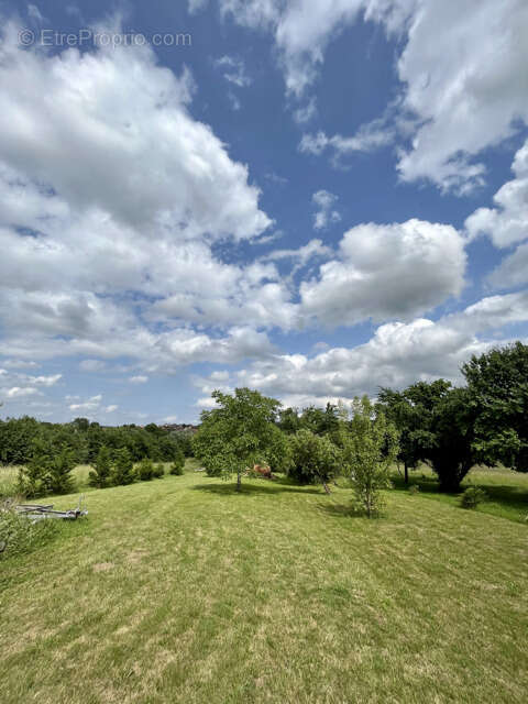 Terrain à SARREWERDEN