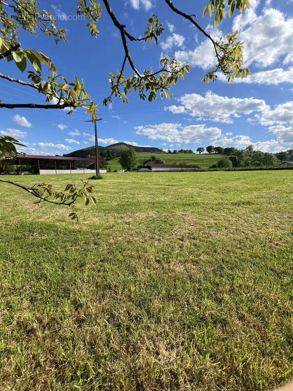 Photo 5 - Terrain à IHOLDY