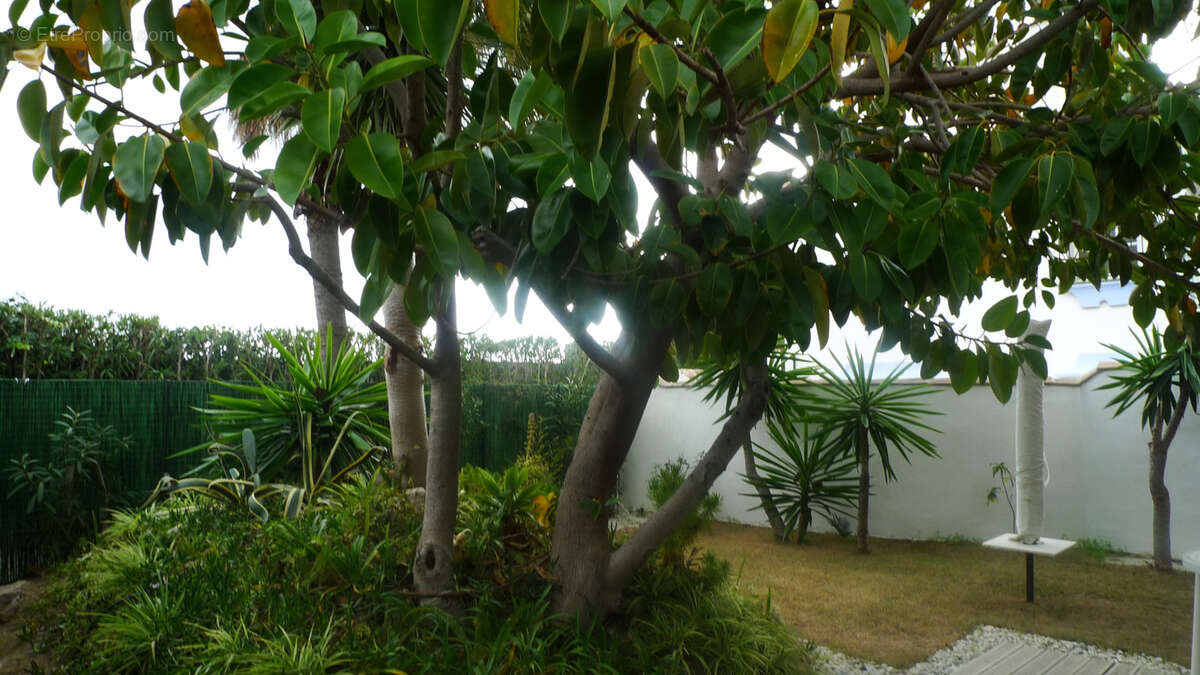 Maison 250 m² à Hermanville-Sur-Mer  - photo 26