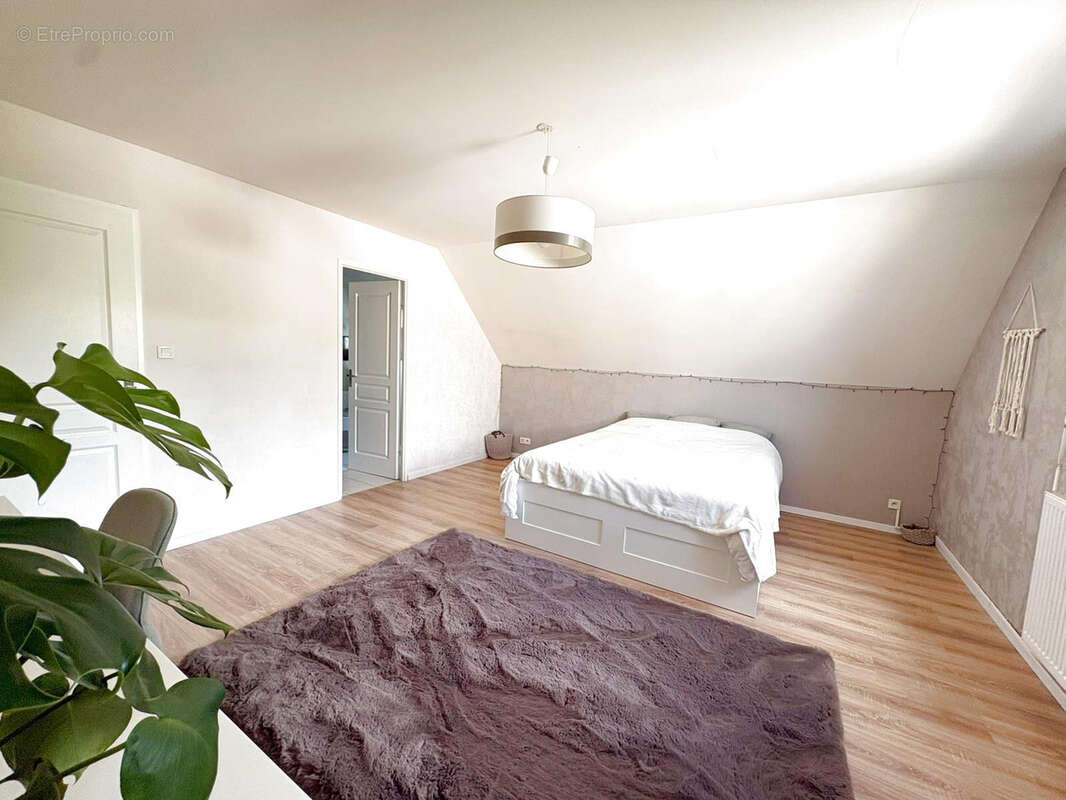 Maison à THOUARE-SUR-LOIRE