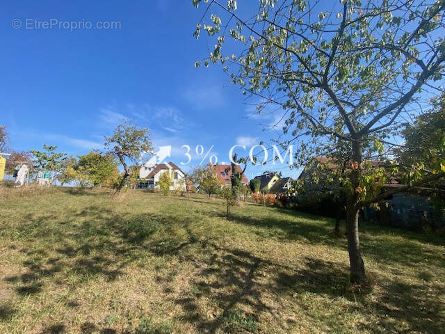 Terrain à DETTWILLER