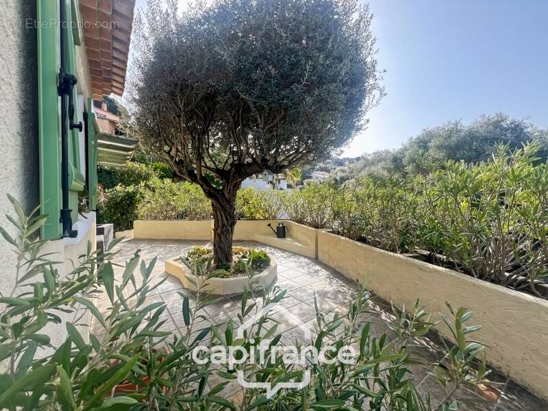 Maison à LE LAVANDOU