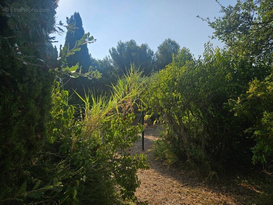 Terrain à LES PENNES-MIRABEAU