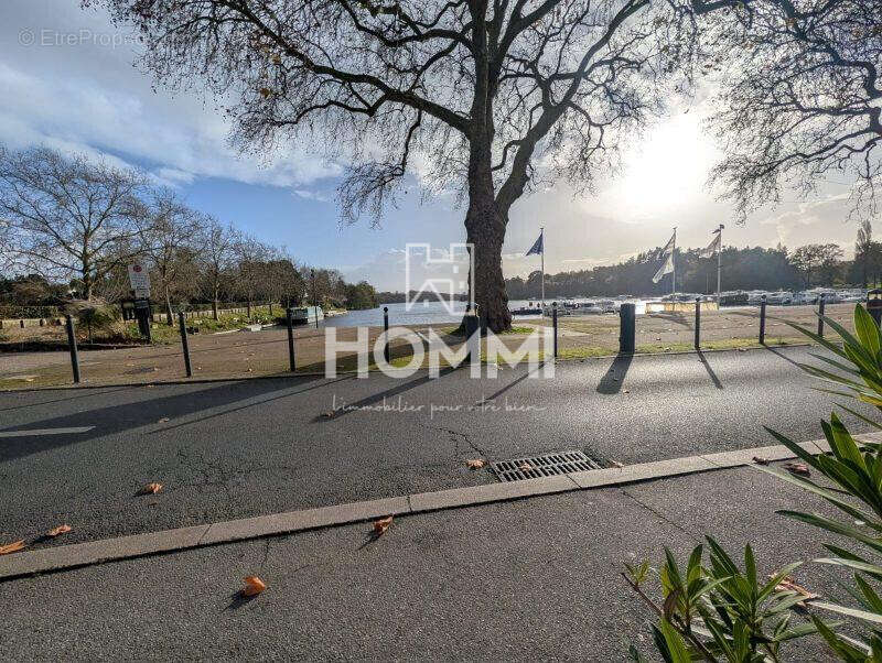 Commerce à SUCE-SUR-ERDRE