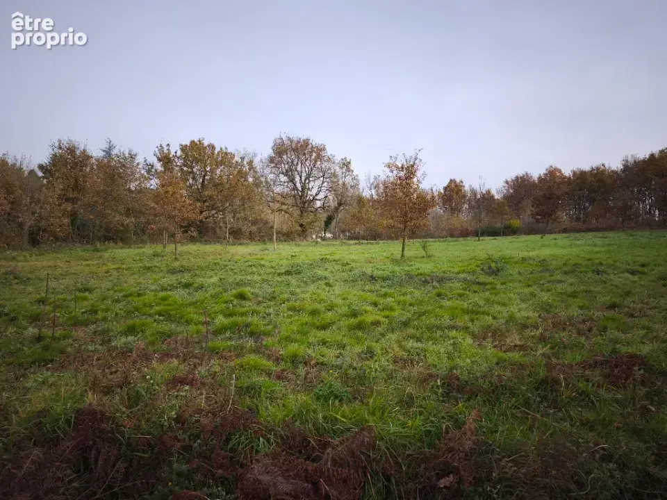 Terrain à DAMIATTE