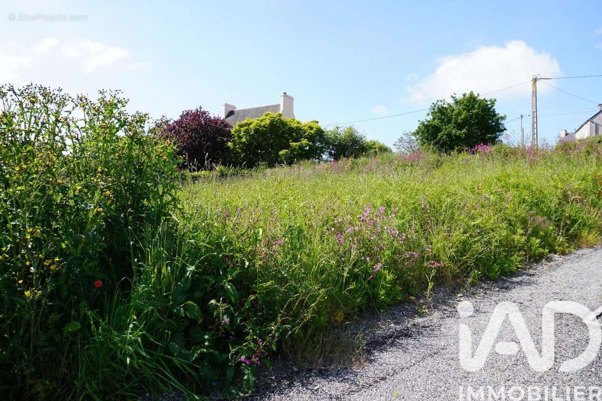 Photo 2 - Terrain à LESNEVEN