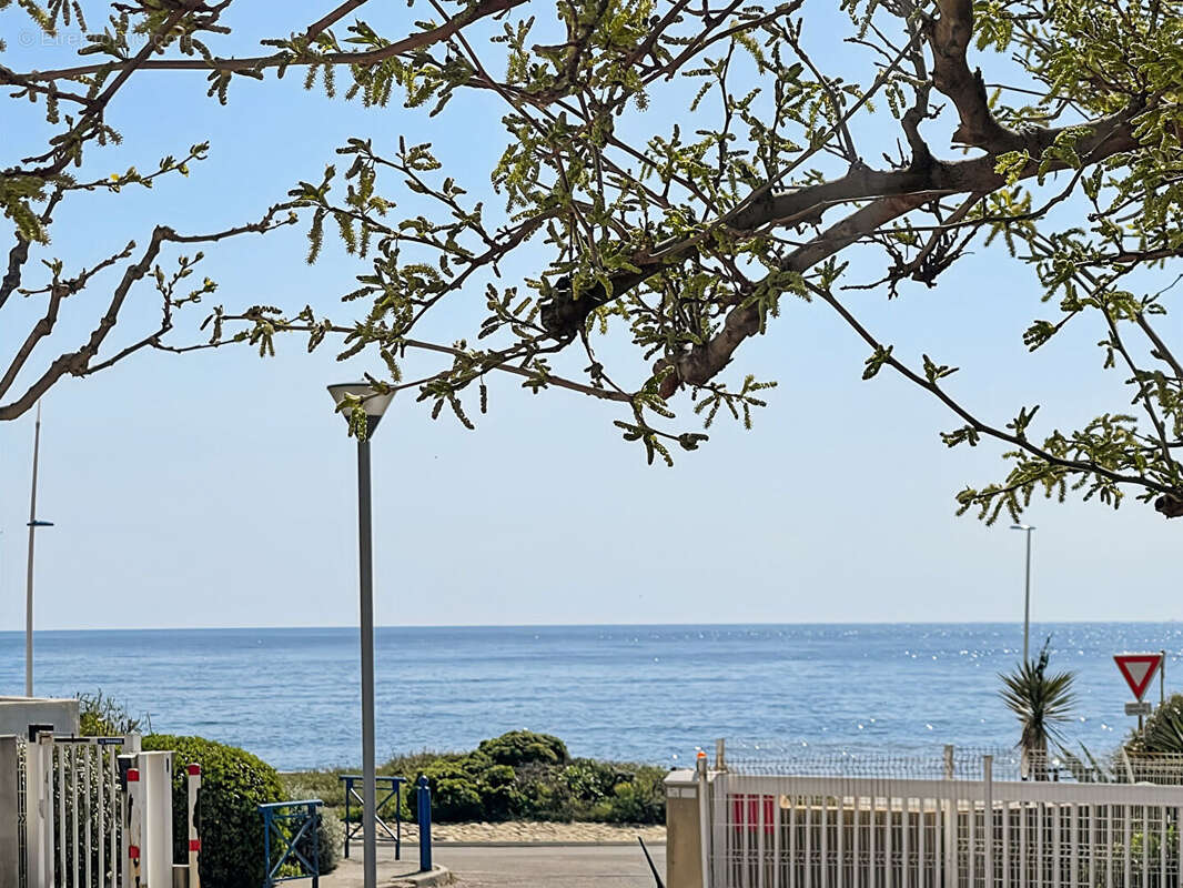 Maison 23m² à sausset-les-pins - photo 14