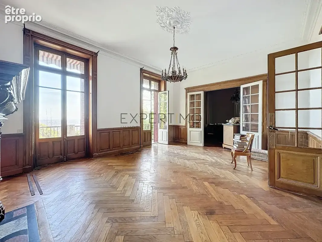 Maison de maître 1906   vue panoramique exceptionnelle sur la saône - photo 10