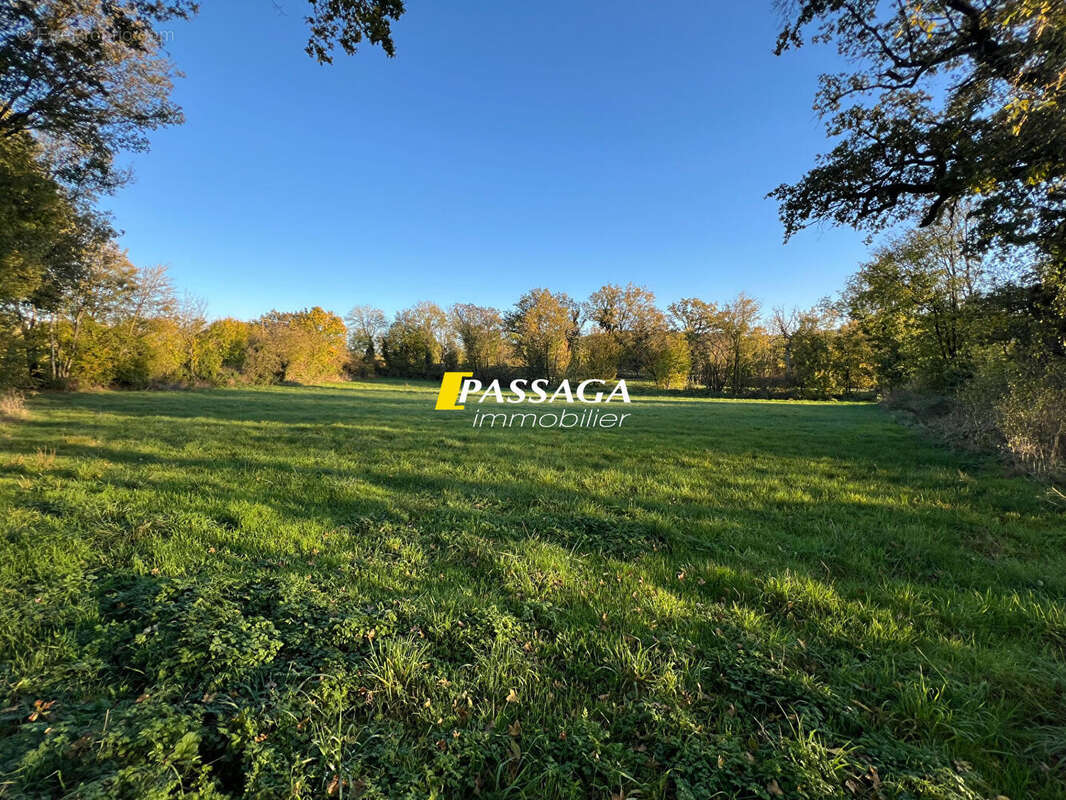 A VENDRE - Terrain à bâtir 3 200 m² -  BERTHOLENE - photo 2