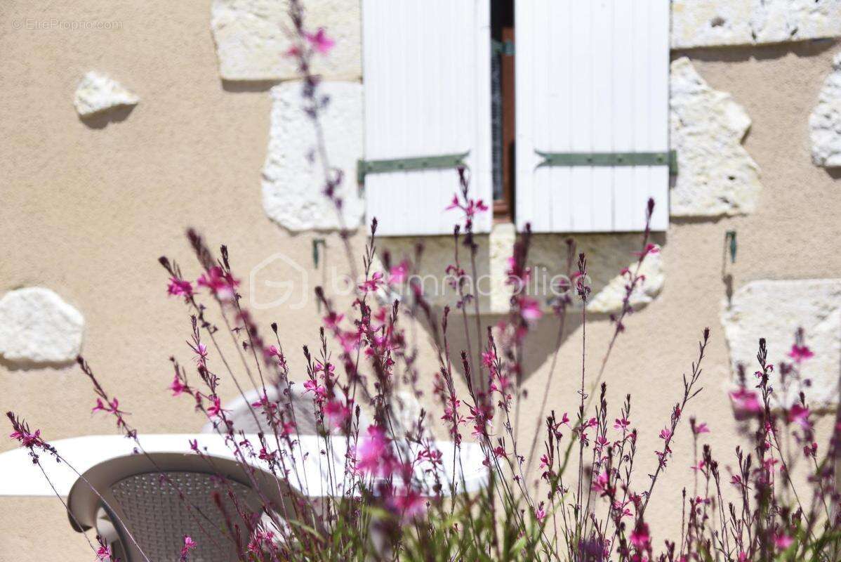 Ensemble immobilier de caractère en pierres 490m² avec activité locative rentable - photo 4