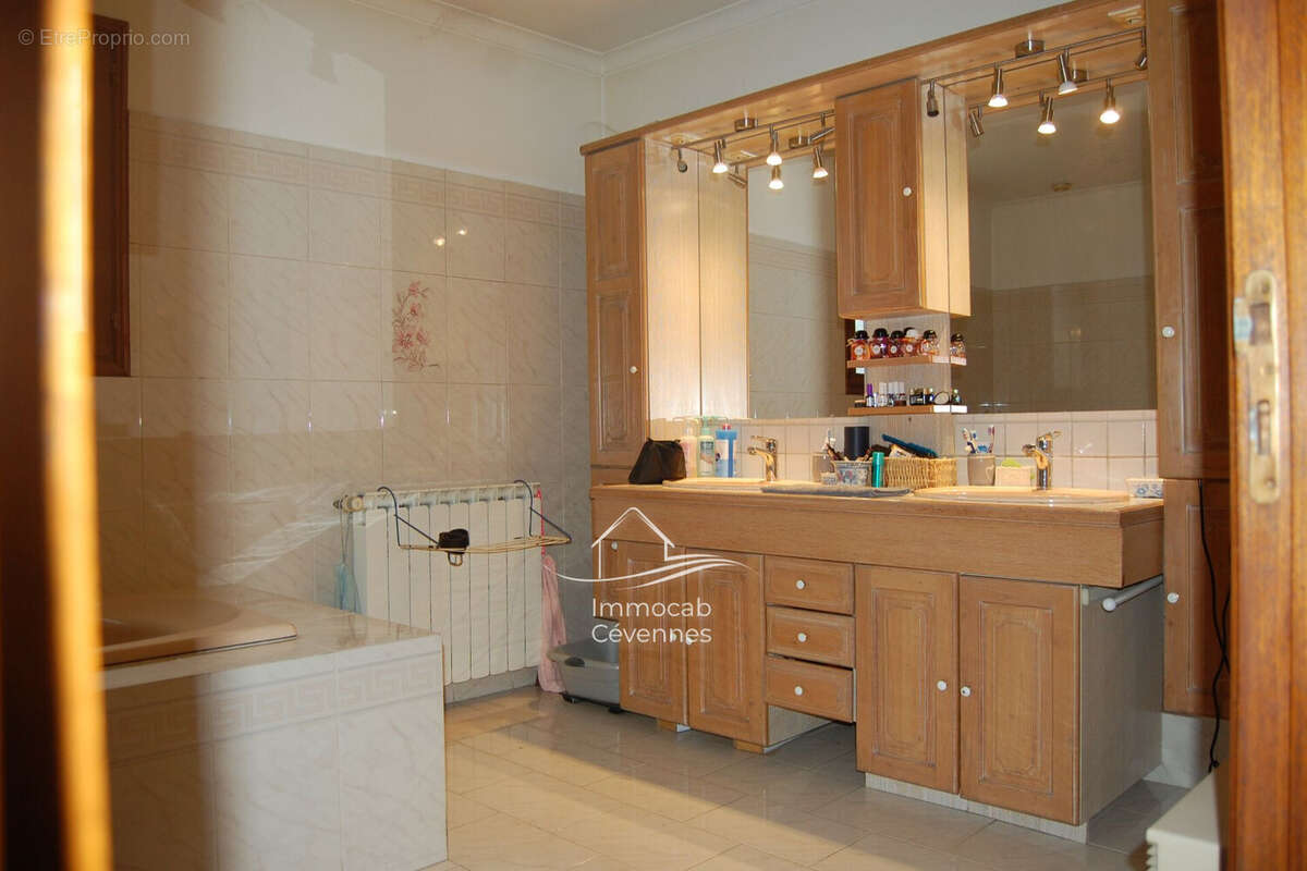 Maison à SAINT-HILAIRE-DE-BRETHMAS