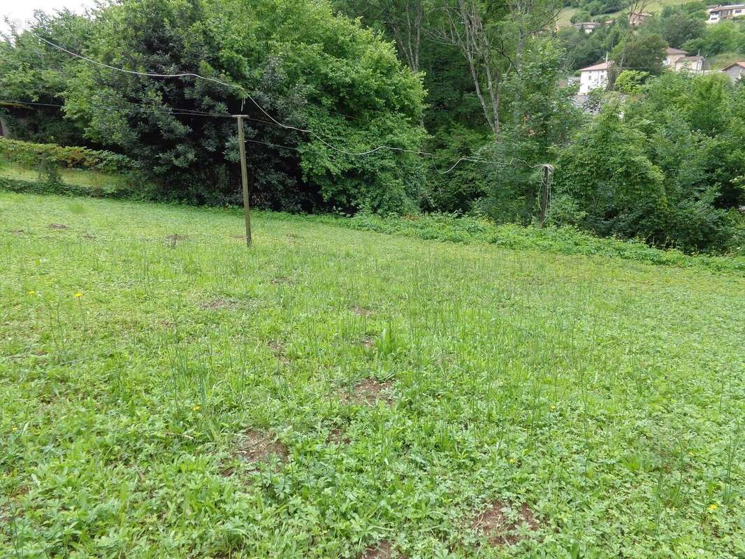 Maison à CHAMBOST-ALLIERES