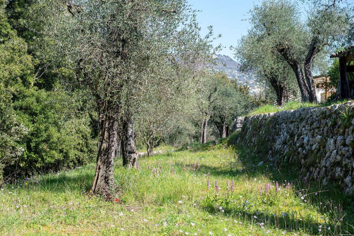Maison à CHATEAUNEUF-GRASSE