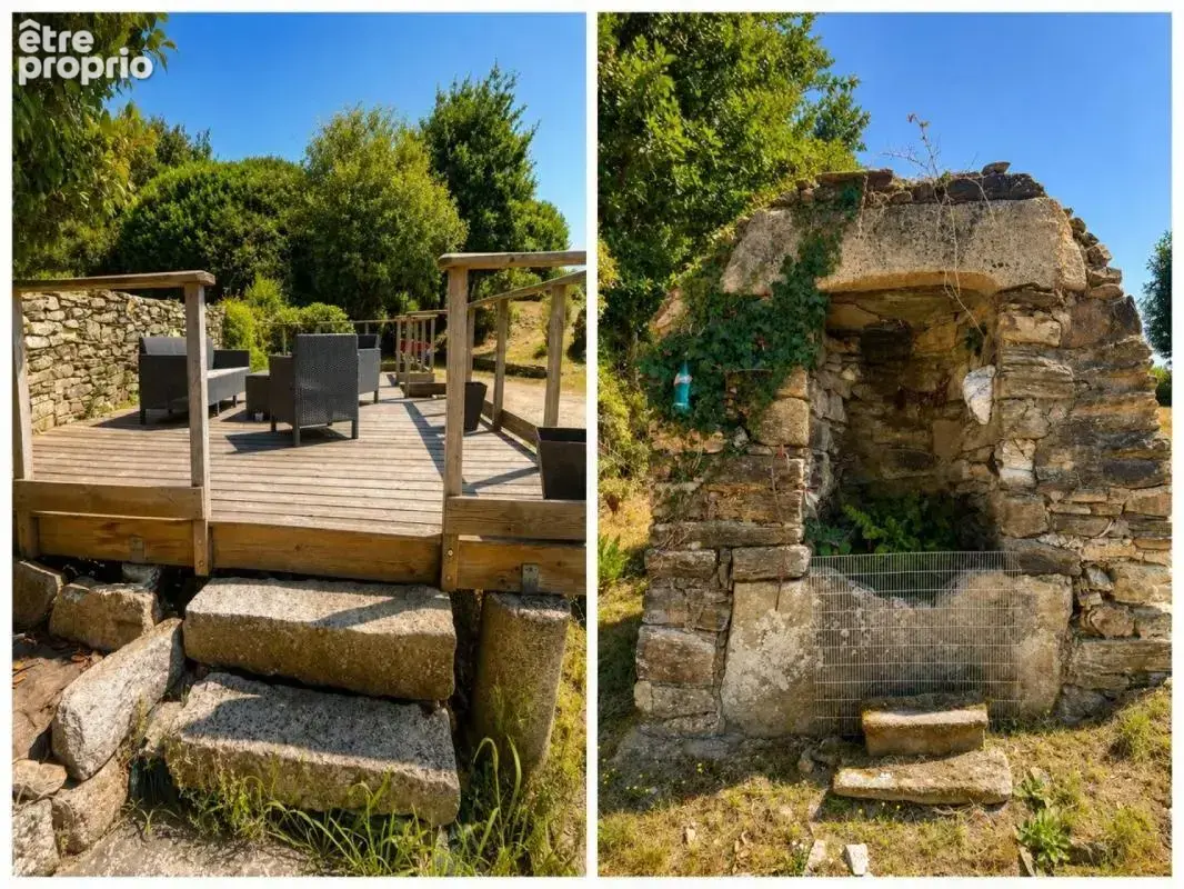 Clairiere aux portes de la ville - photo 10