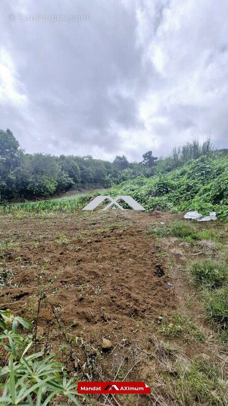 Terrain à PETITE-ILE