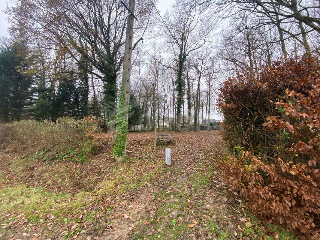 Terrain à CHARNY