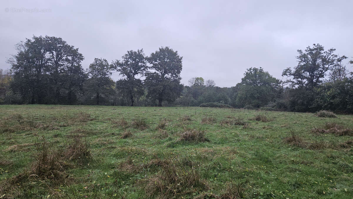 Terrain à SAINT-BONNET-DE-BELLAC