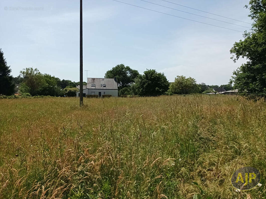 Terrain constructible de 1 140m² QUESTEMBERT - photo 2