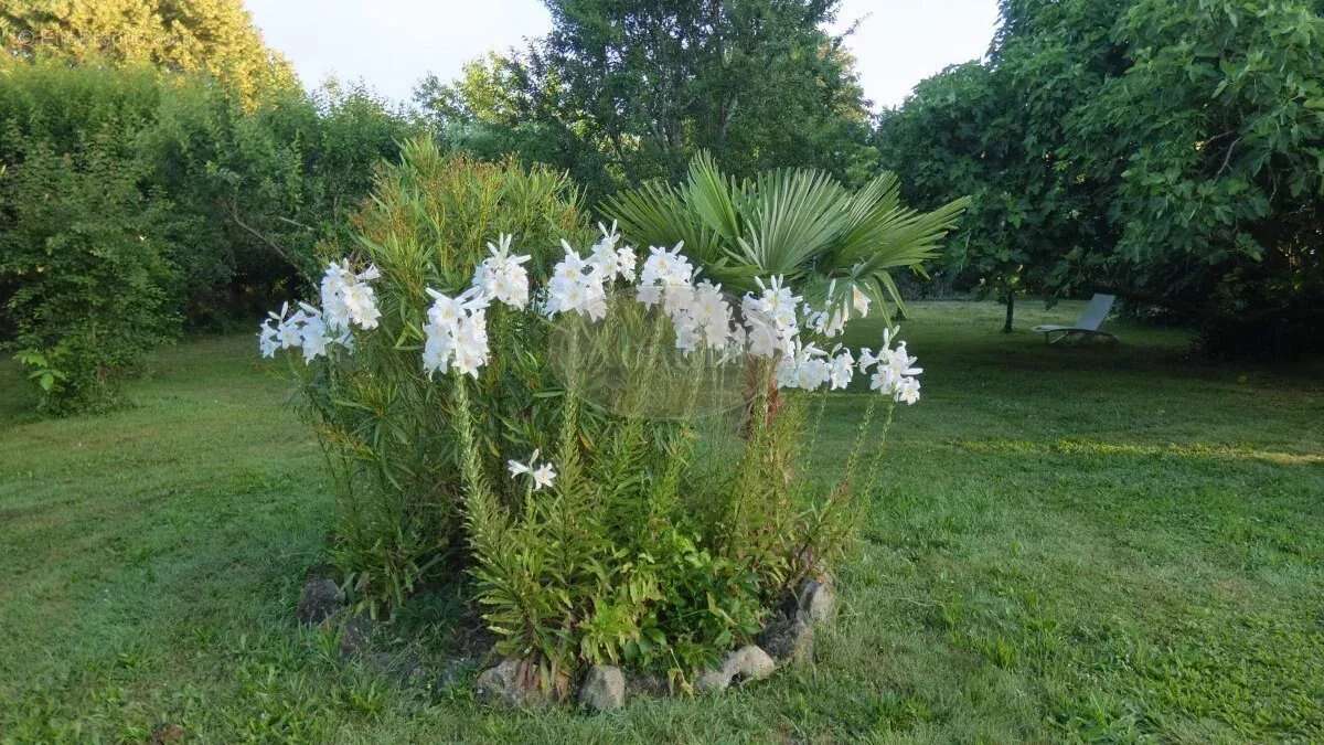 Maison à MAUBOURGUET