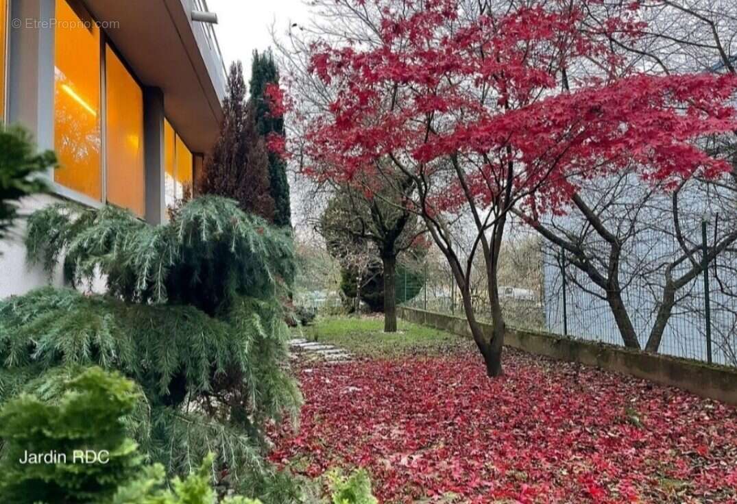 Commerce à ANNEMASSE