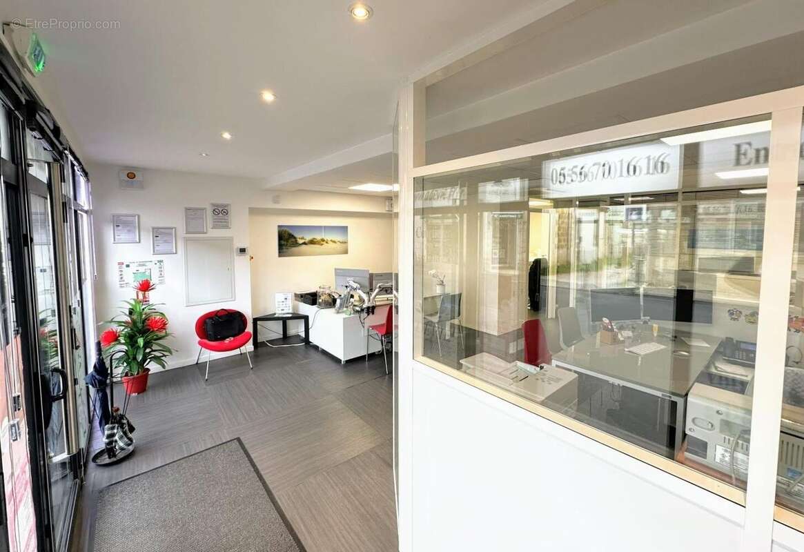 Photo 6 - Commerce à SAINT-MEDARD-EN-JALLES