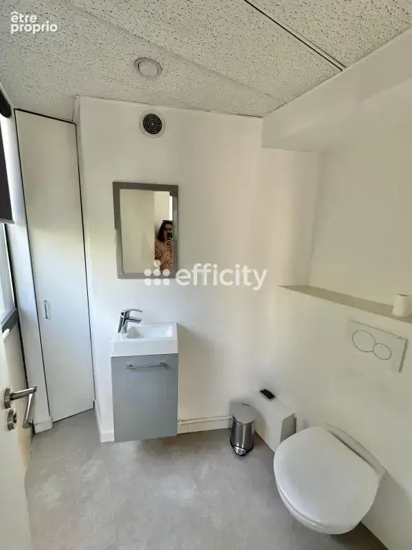 Locaux/Biens immobiliers - photo 9