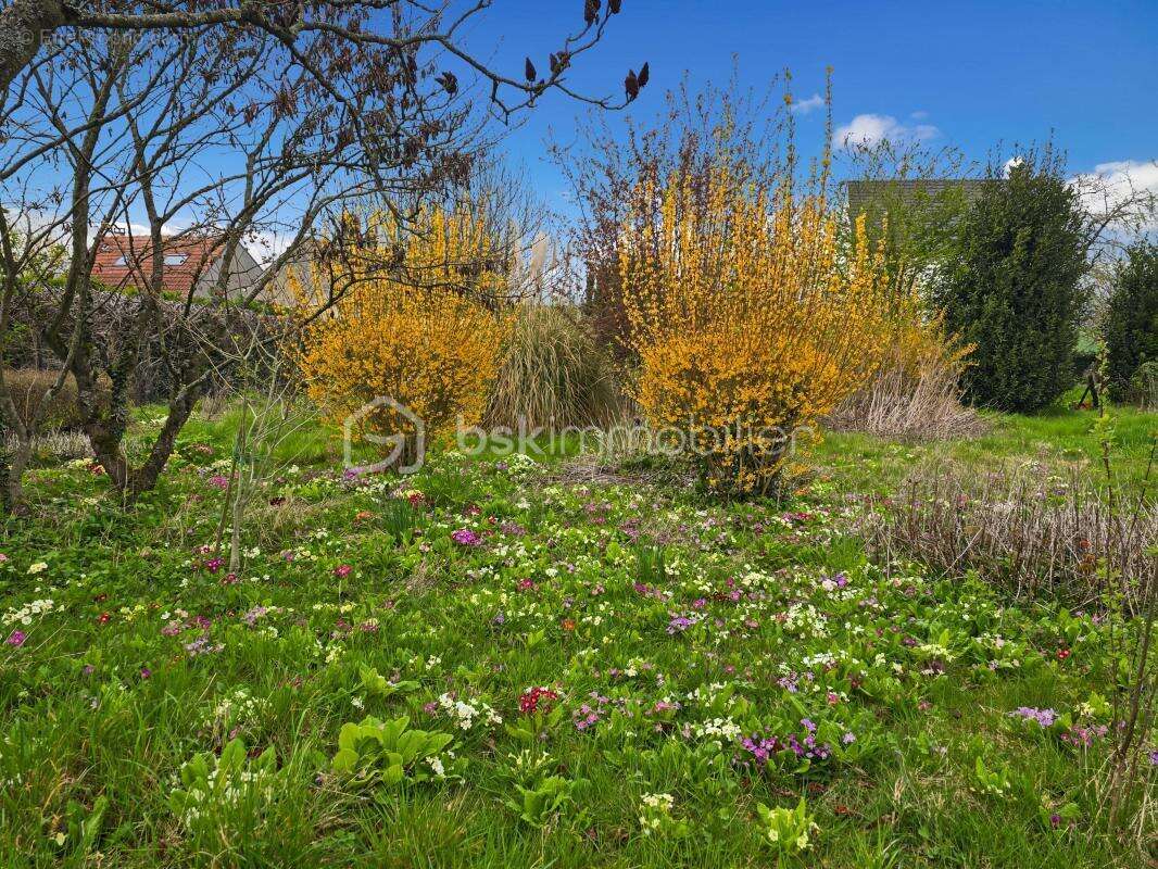 Maison 2 chambres - Vinantes - photo 18