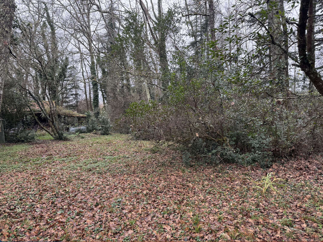 Terrain à SAINT-AUBIN-DE-MEDOC