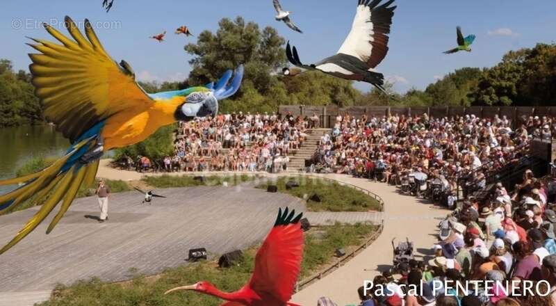 Appartement à VILLARS-LES-DOMBES